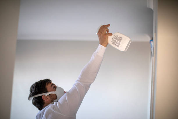 Best Office Mold Removal Services  in Brookside, NJ