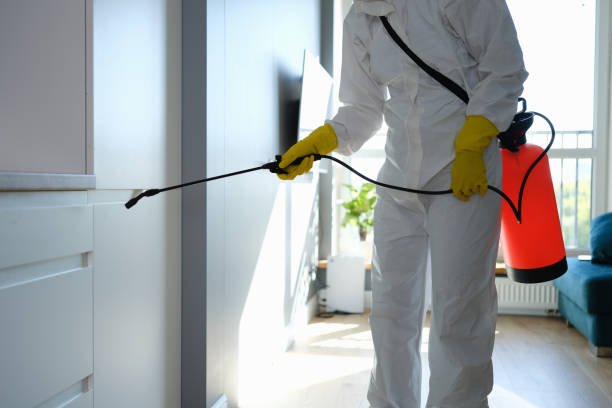 Best Commercial Mold Removal  in Brookside, NJ